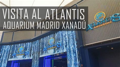 REVIEW: Sobre mi visita al acuario Atlantis Madrid Xanadú YouTube