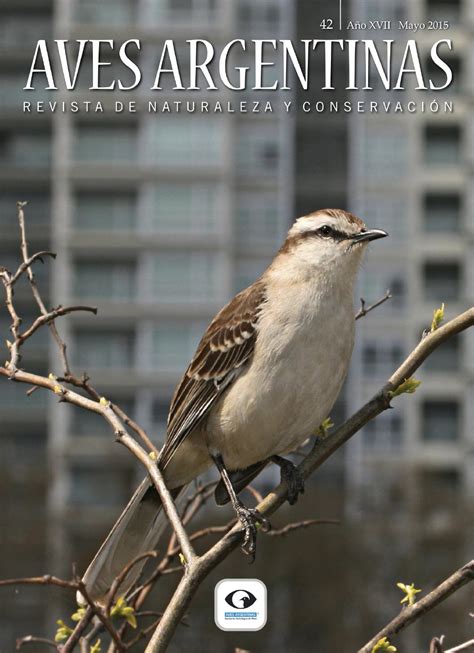Revista aves argentinas 42 web by Aves Argentinas   Issuu