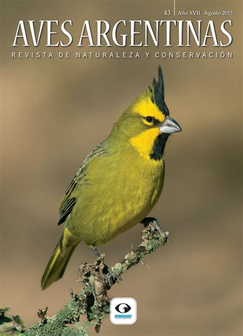 Revista aves argentinas 43 web by Aves Argentinas   issuu