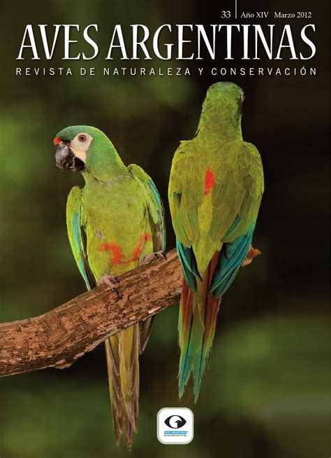 Revista Aves Argentinas / Naturaleza y Conservacion 33 by ...