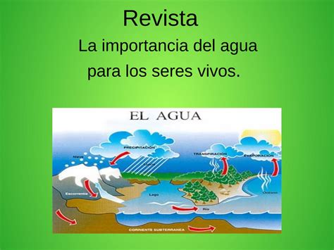Revista importancia del agua by Ricardo Solano González ...