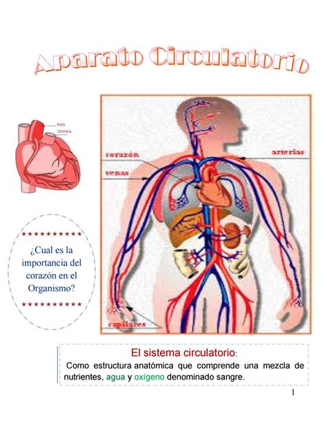 Revista sistema circulatorio by WANDER ROSALES   Issuu