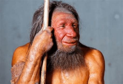 Ricerca. In Bulgaria resti più antichi di Homo Sapiens in ...