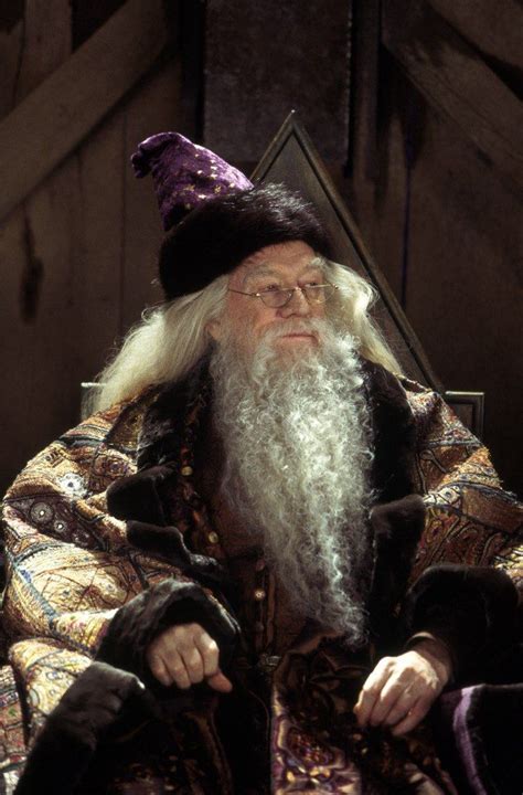 Richard Harris as Dumbledore | HP 1   Sorcerer s Stone ...