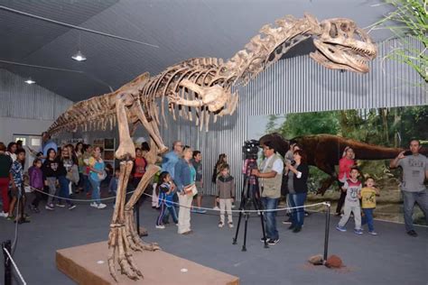 Rincón de los Sauces ahora tiene museo paleontológico ...