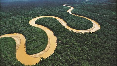 Rio Amazonas: historia, origen, características ...