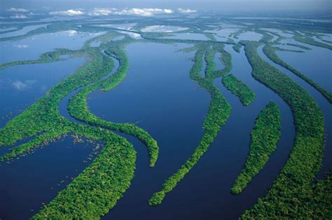Rio Amazonas: historia, origen, características ...