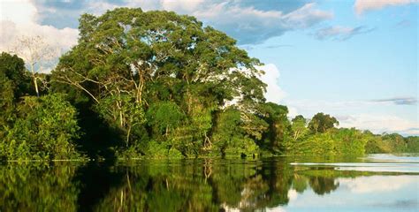 Río Amazonas, lista de ríos del Perú   información de Perú