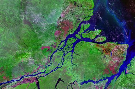 Rio Amazonas – Wikipédia, a enciclopédia livre