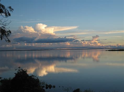 Río Amazonas   Wikipedia, la enciclopedia libre