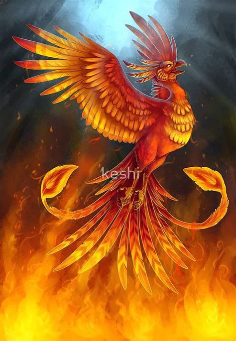 Rise from the flames  Photographic Prints by keshi | Redbubble | Ave ...