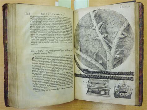 Robert Hooke’s Micrographia, 1667