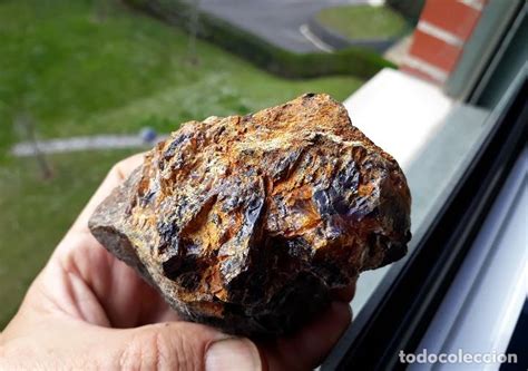 roca con ambar natural del cretacico. muy raro.   Comprar ...
