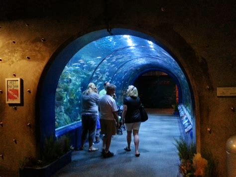 Rockhounding Around: New Orleans  Audubon Aquarium of the ...