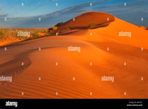 Rojo duna de arena en el desierto de Simpson Fotografía de stock Alamy