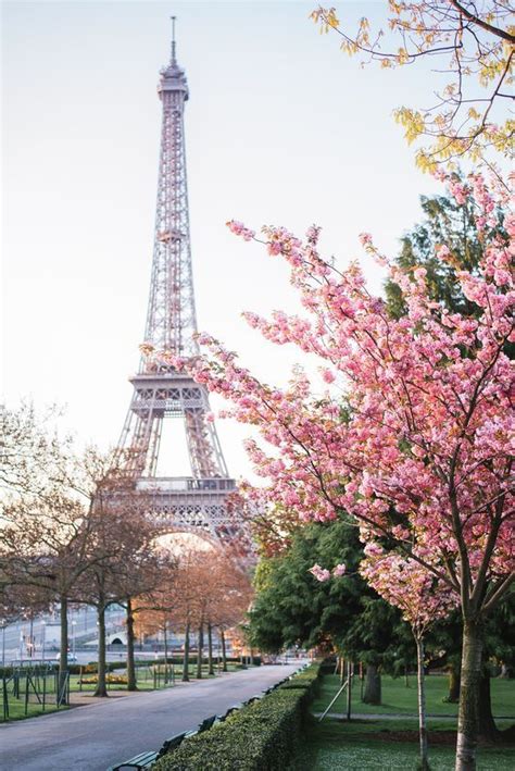 Romantic Paris Pictures, Photos, and Images for Facebook ...