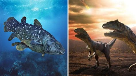 Romantica HD: Un dinosaurio aún habita los mares, se salvó del ...