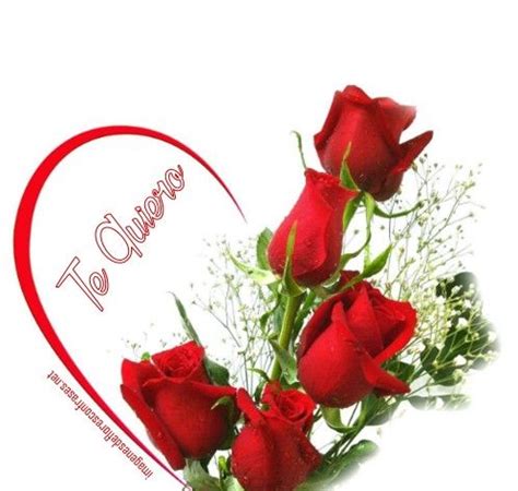 Románticas Imágenes De Rosas Con Frases De Te Amo Mi Amor | Love rose ...
