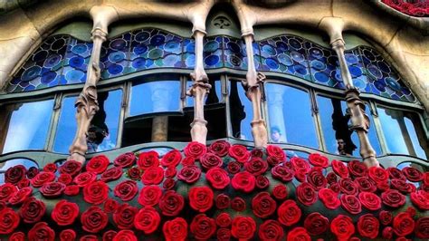 Rosa de Sant Jordi 2021: el significado del rojo y otros colores