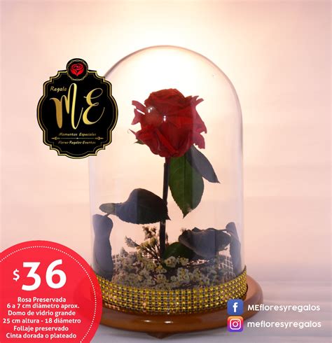 Rosa Preservada, Rosa Eterna, Flores, Domo, Arreglo Floral   U$S 7,50 ...