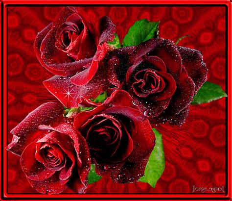 rosas 3d amor gif | Imágenes bellas