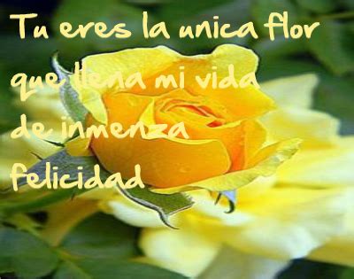 Rosas Amarillas Con Frases De Amor Para Dedicar   IMÁGENES DE FLORES ...