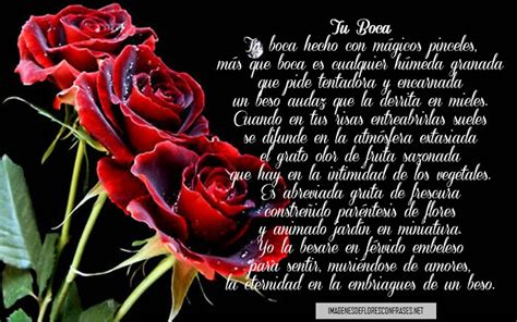 Rosas De Amor Con Poemas, Flores Hermosas De Amor