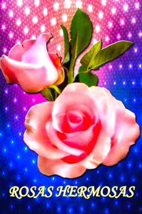 Rosas Hermosas Gratis Para Enamorar for Android   APK Download