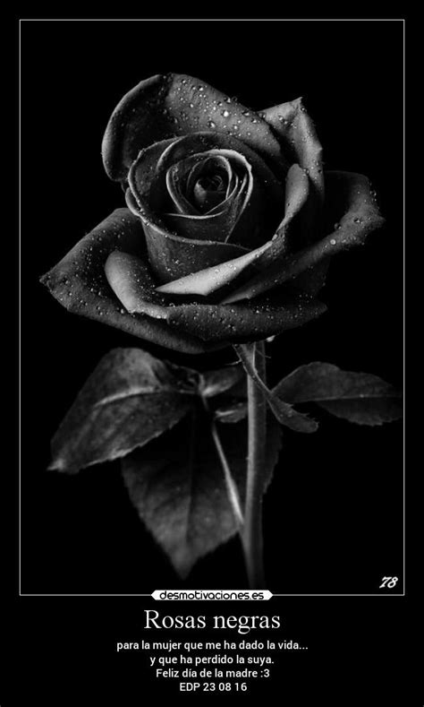 Rosas negras | Desmotivaciones