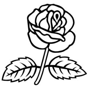 Rosas | Para Colorear.com
