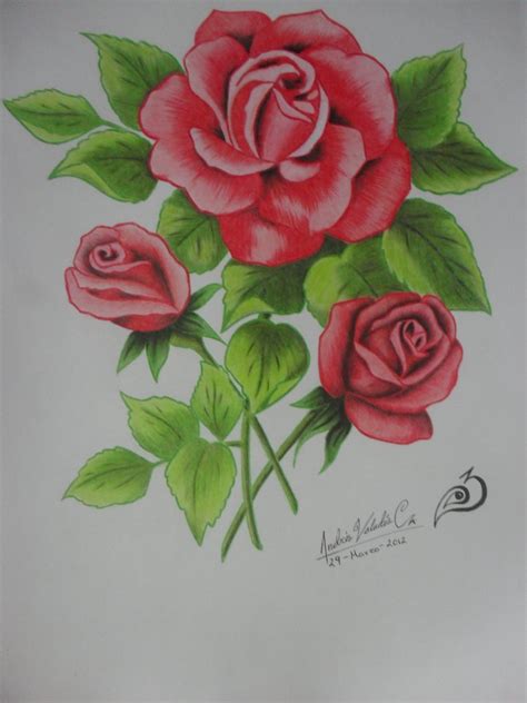 Rosas por EXAY | Dibujando