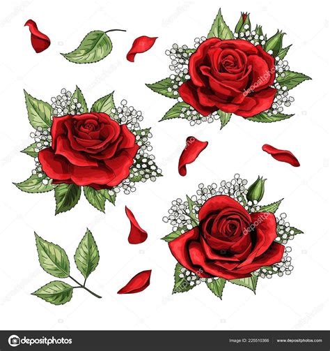 Rosas rojas a mano elementos de ilustración dibujado coloreada set ...