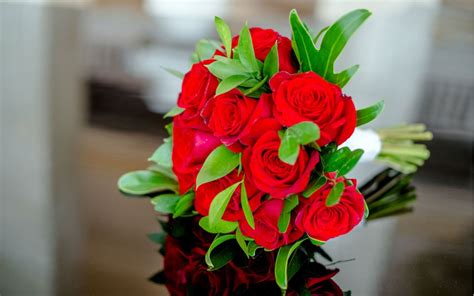 Rosas Rojas, para regalar en San Valentín