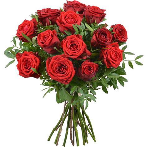 Rosas Rojas  ramos de 12, 24 o 50 rosas  ENVIO GRATIS