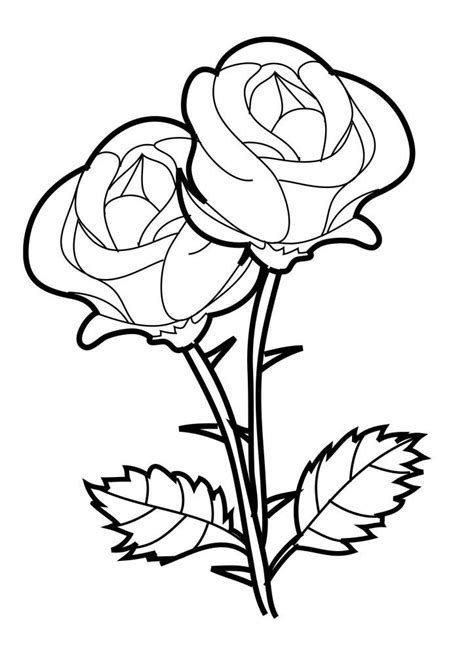 Rose Coloring Page | Dibujos para colorear, Patrones de ...