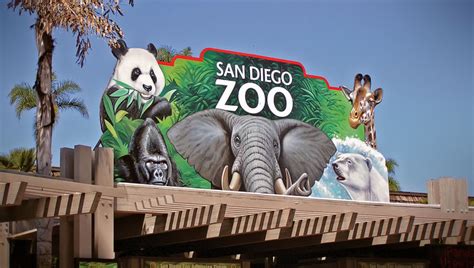 Ross Archery: San Diego Zoo Tickets Discount