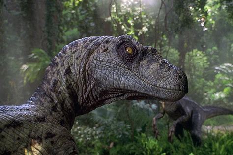 Rumors hint at dinosaur vs. dinosaur brawls in Jurassic ...