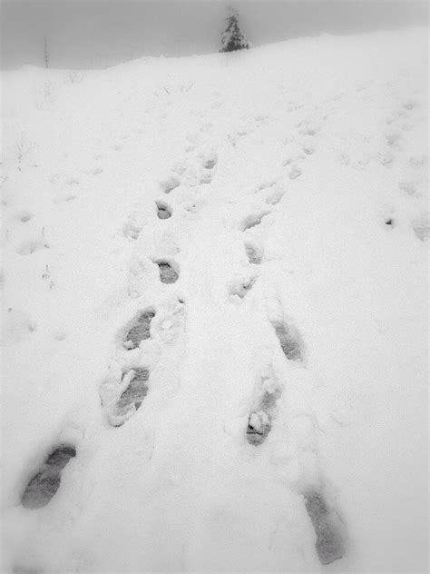 Run away from myself ... | Running away, Outdoor, Winter
