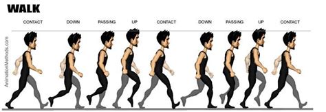 Run cycle poses | ANIMATION TIPS | Pinterest | Cycling ...