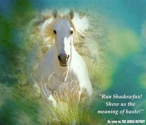 Run Shadowfax! Show us the meaning of haste!  | Horses ...