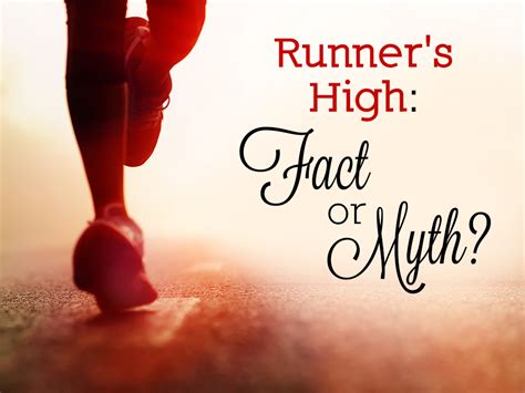Runner s High: Fact or Myth?   Top Fitness Magazine