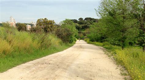Running Routes: Madrid Casa de Campo Running Route