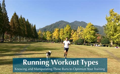 Running Workout Types: Knowing and Manipulating These Runs ...