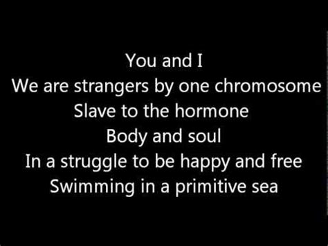 Rush Alien Shore  Lyrics    YouTube