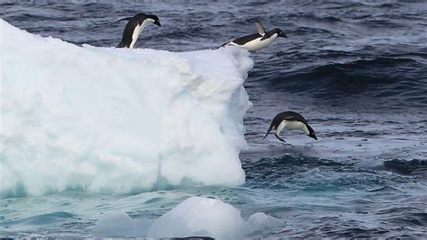 Russland widersetzt sich: Antarktis Meer bleibt ...
