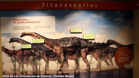 Ruta de Los Dinosaurios de Cuenca Fuentes Museo   YouTube