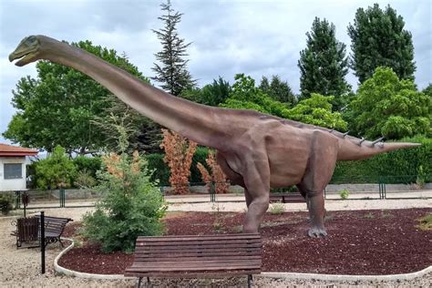 Ruta de los dinosaurios por Cuenca   Reserva en Civitatis.com