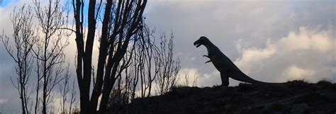 Ruta de los dinosaurios por Enciso   Reserva en Civitatis.com