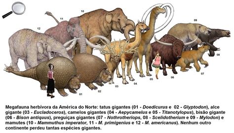 ️ American megafauna. 10 Extinct Giants That Once Roamed North America ...
