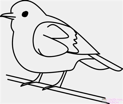 磊 Dibujos de Aves【+250】Lindos y faciles